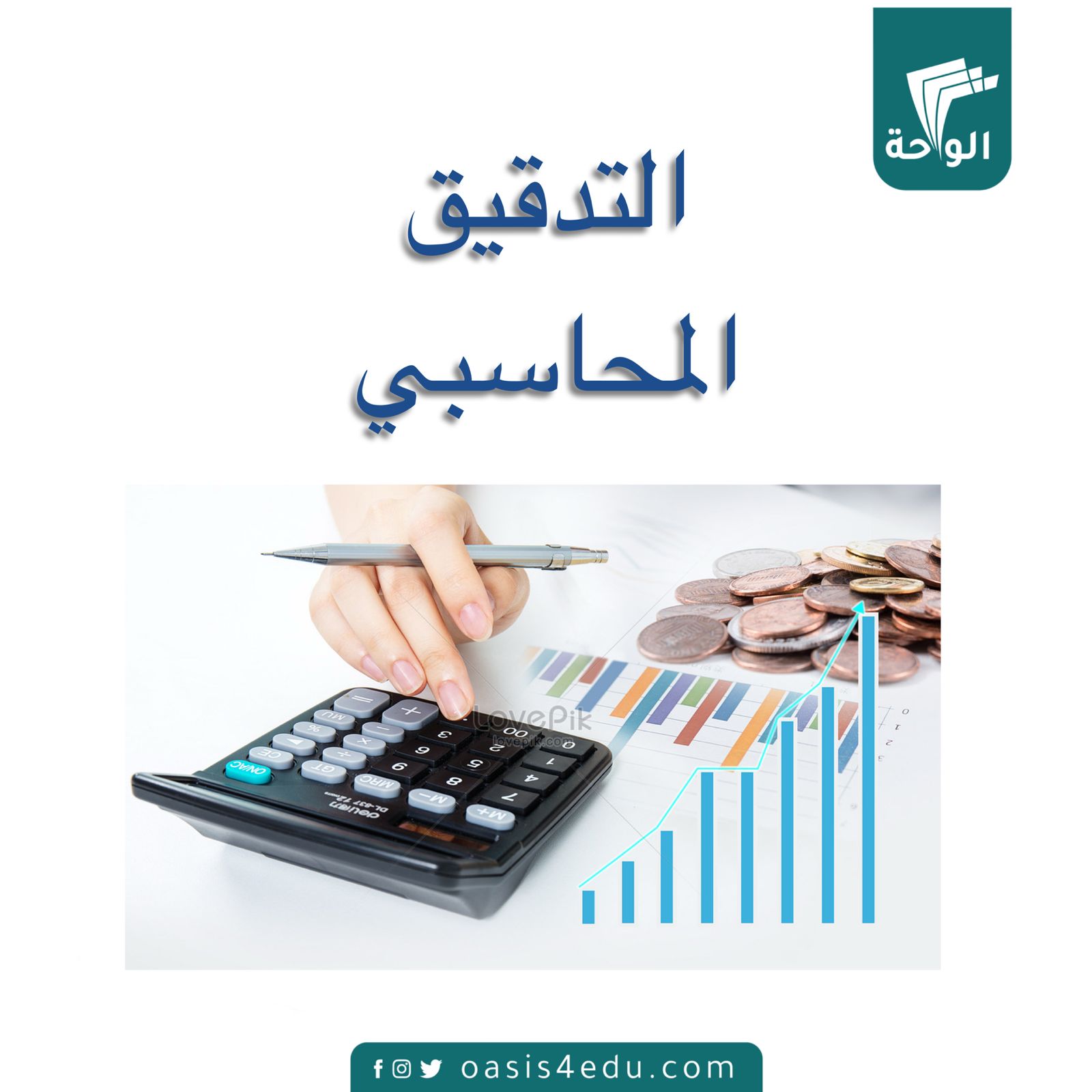 دورة التدقيق المحاسبي — المالية والمحاسبة